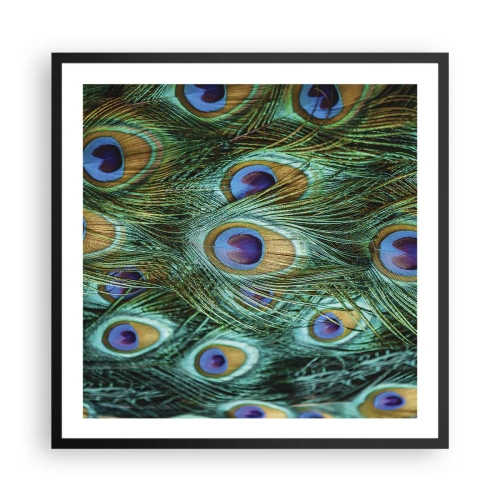 Plakát v černém rámu - Paví pohled - 60x60 cm