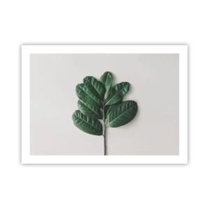 Plakát - Kresba samotné přírody - 70x50 cm