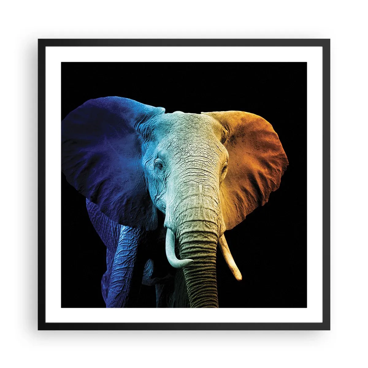 Plakát v černém rámu - Výstřední muž, ale ne podivín - 60x60 cm