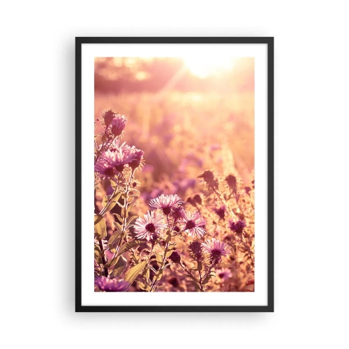 Plakát v černém rámu - Pole fialových květin ve světle zapadajícího slunce - 50x70cm - Než skončí léto - Moderní nástěnná dekorace do obývacího pokoje a ložnice ARTTOR