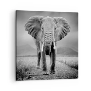 Obraz na plátně - Hostitel vítá - 50x50 cm