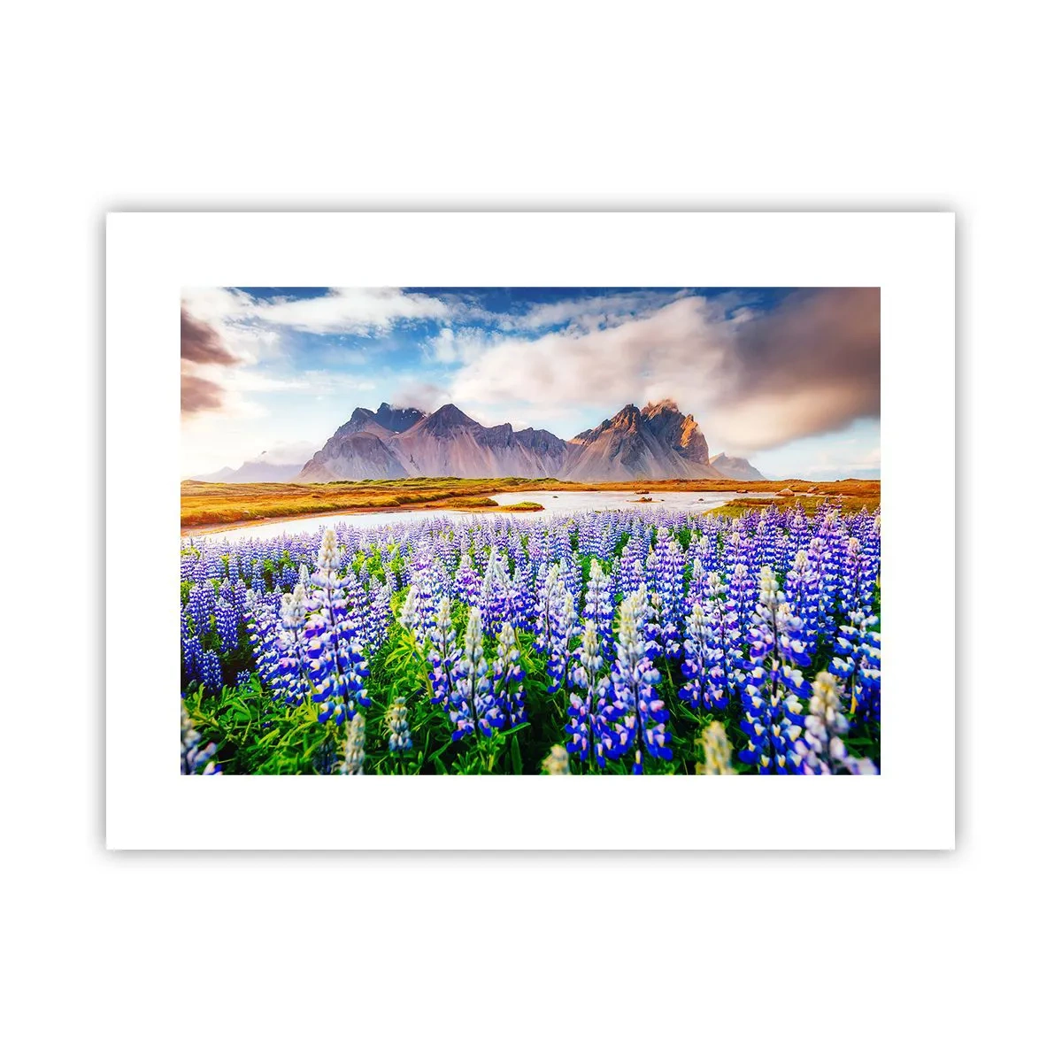 Plakát - Síla a přísnost vedle mírnosti - 40x30 cm