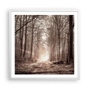 Plakát v bílém rámu - Lesní katedrála - 60x60 cm