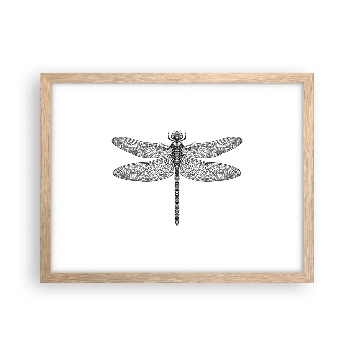 Plakát v rámu světlý dub - Přesnost přírody - 40x30 cm