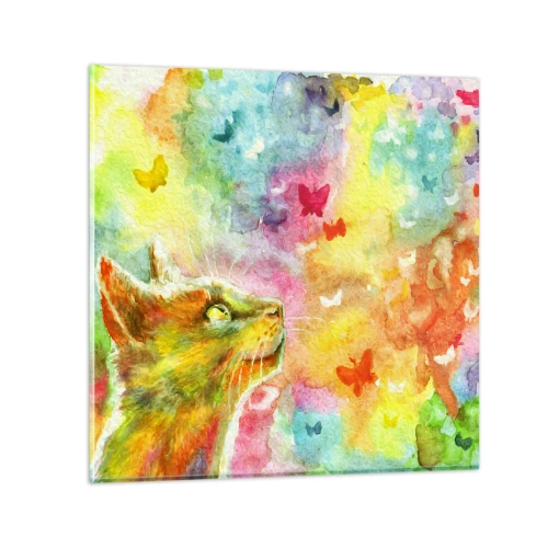Obraz na skle - Vymýšlí nesmysly v kočičím ráji - 30x30 cm