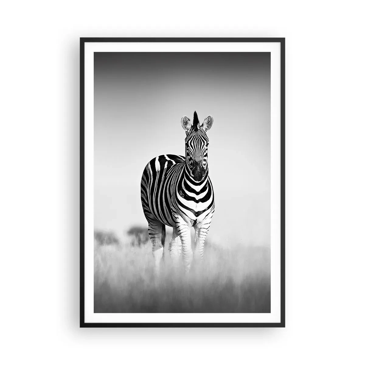 Plakát v černém rámu - A přesto je svět černo-bílý - 70x100 cm