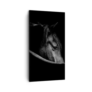 Obraz na plátně - Černý kníže - 45x80 cm