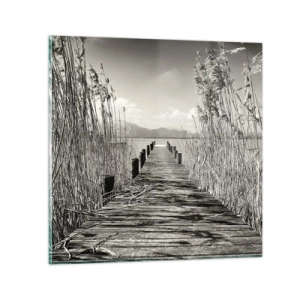 Obraz na skle - V ústraní travin - 60x60 cm