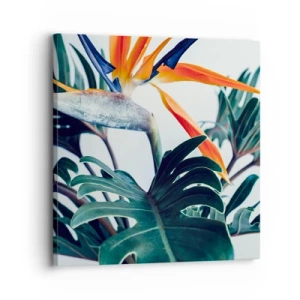 Obraz na plátně - Ptákeř - 30x30 cm