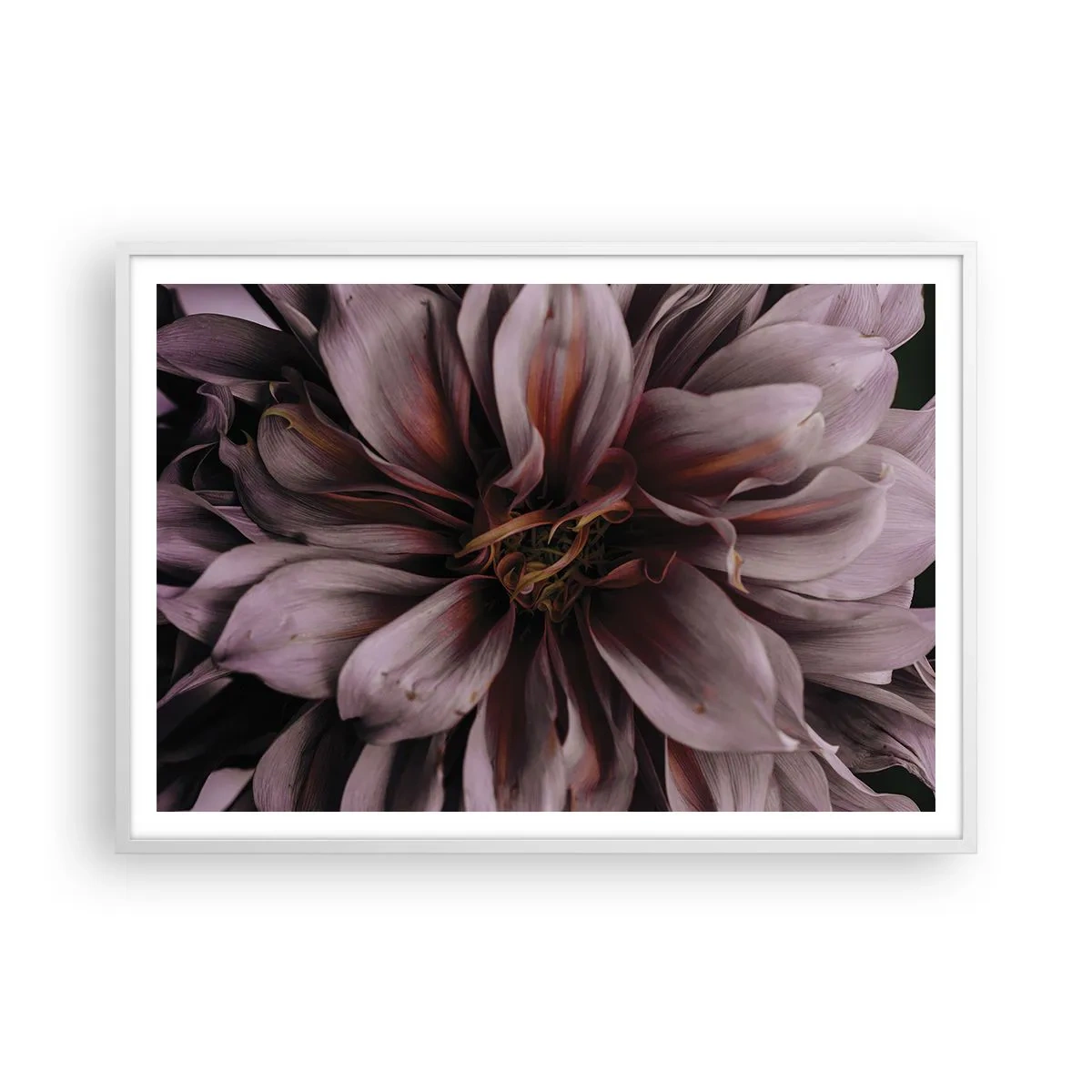 Plakát v bílém rámu - Květinové srdce - 100x70 cm