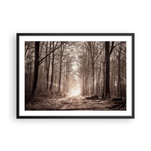 Plakát v černém rámu - Lesní katedrála - 70x50 cm