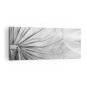 Obraz na plátně - Pampelišky - 100x40 cm