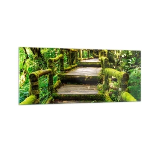Obraz na skle - Chodbou zeleně - 100x40 cm