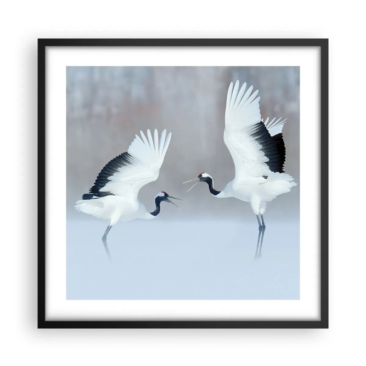 Plakát v černém rámu - Tanec v mlze - 50x50 cm