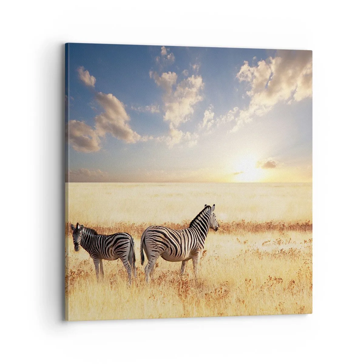 Obraz na plátně - Jdi odsud, neruš klid - 70x70 cm