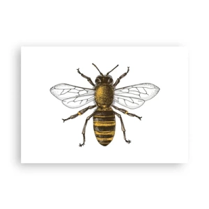 Plakát - Krásná a dobrá - 100x70 cm