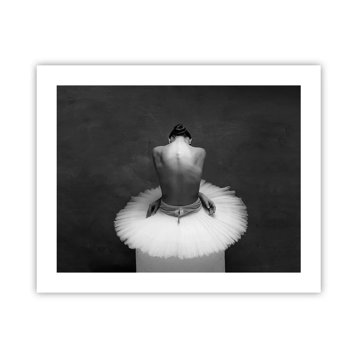 Plakát - Právě kvete - 50x40 cm