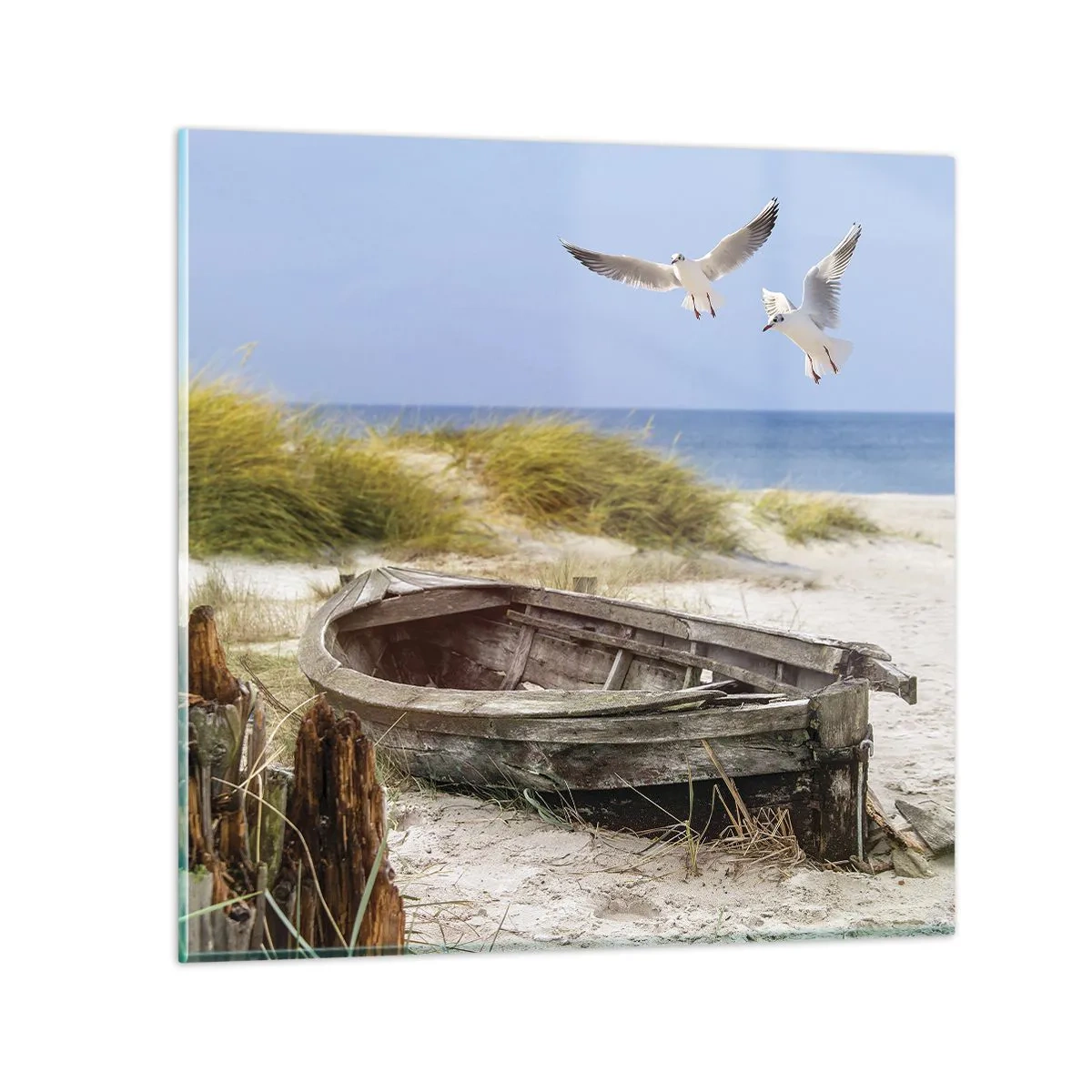 Obraz na skle - Větrem ozářené - 60x60 cm