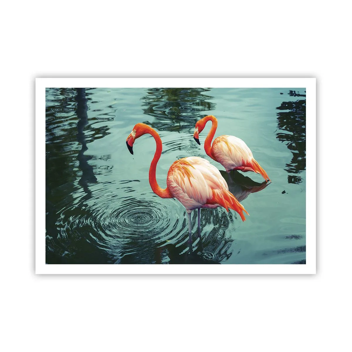 Plakát - Nyní jsme v módě - 100x70 cm