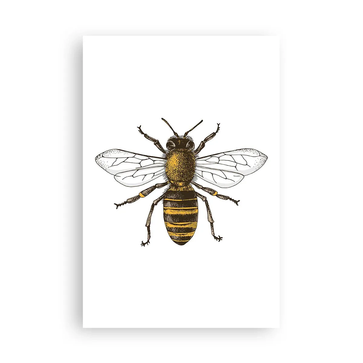 Plakát - Krásná a dobrá - 61x91 cm