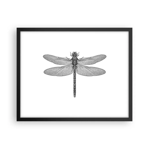 Plakát v černém rámu - Přesnost přírody - 50x40 cm