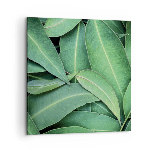 Obraz na plátně - Šťavnaté a svěží - 60x60 cm