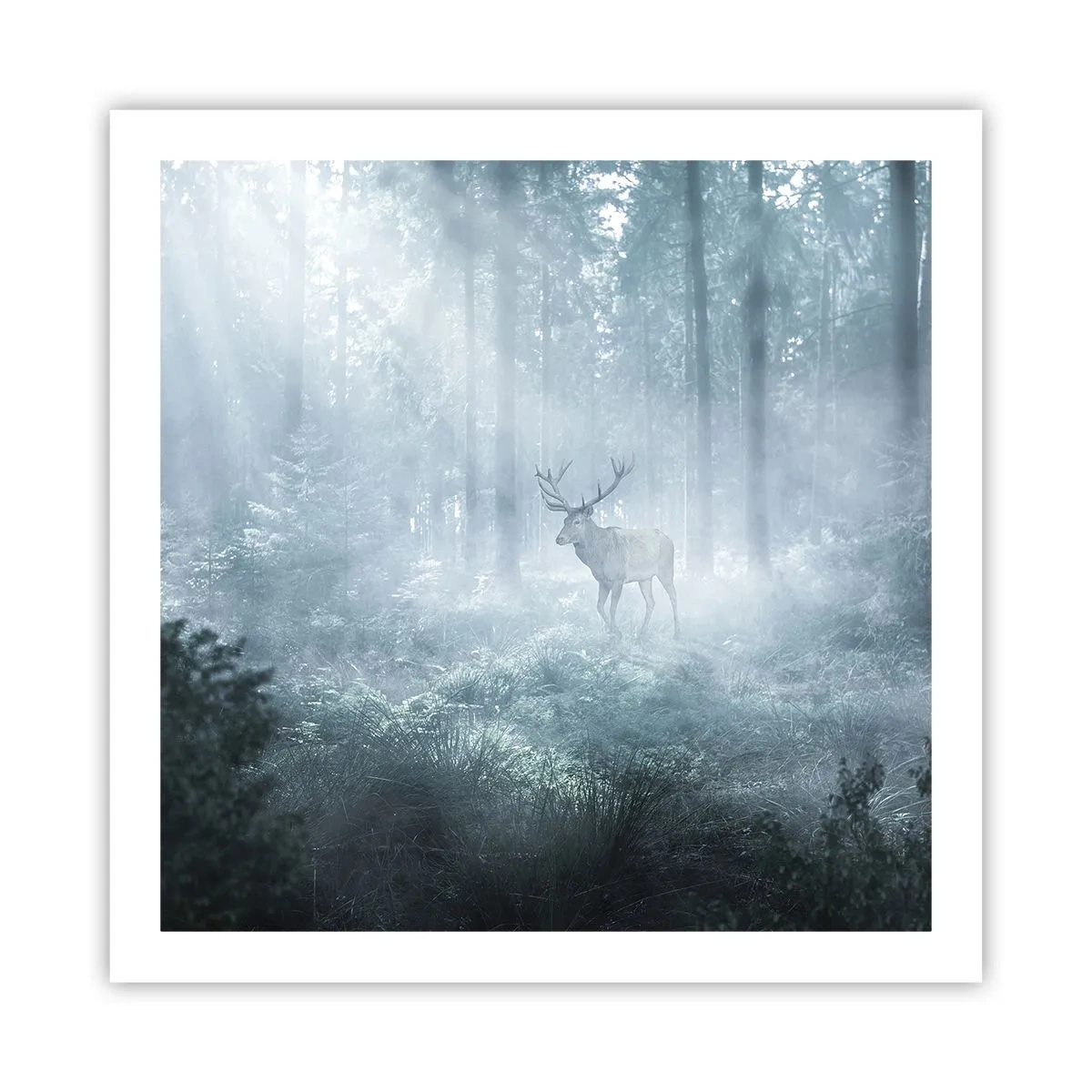 Plakát - Ranní obchůzka sídliště - 60x60 cm