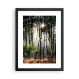 Plakát v černém rámu - Lesní divočina - 30x40 cm