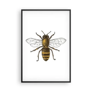 Plakát v černém rámu - Krásná a dobrá - 61x91 cm