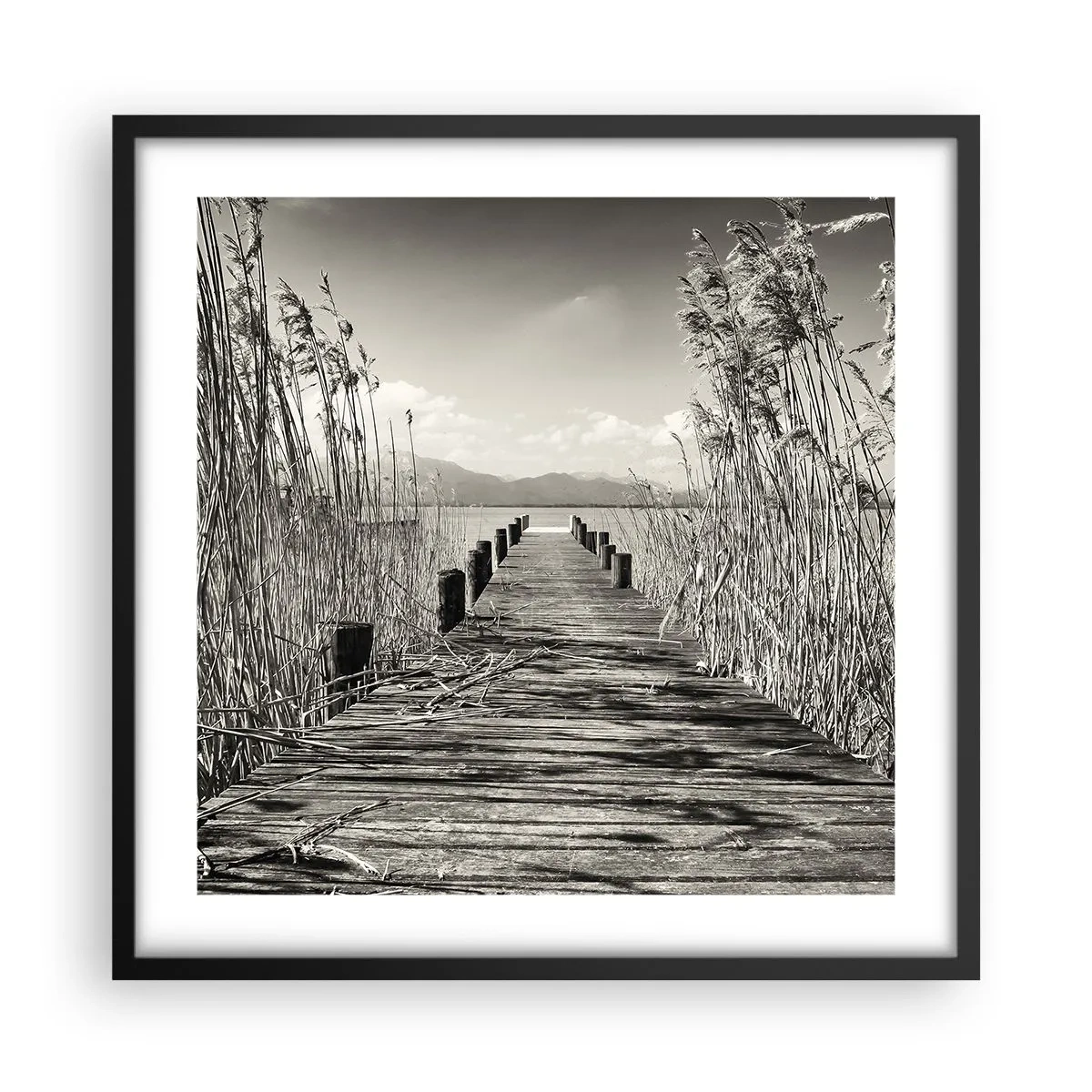 Plakát v černém rámu - V ústraní travin - 50x50 cm