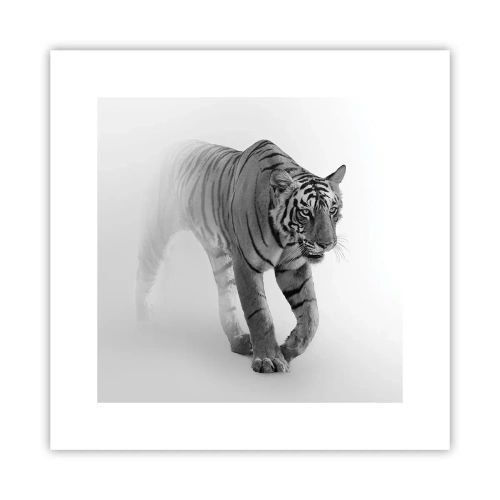 Plakát - Přikrčený v mlze - 30x30 cm