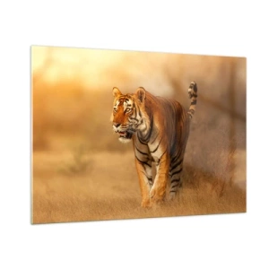 Obraz na skle - Před útokem - 100x70 cm