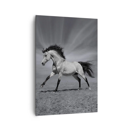 Obraz na plátně - Zrozen pro potěšení - 70x100 cm