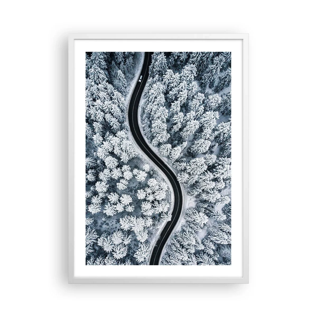 Plakát v bílém rámu - Zimním lesem - 50x70 cm