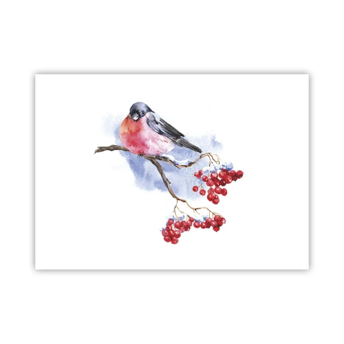 Plakát - Barevná zima - 70x50 cm