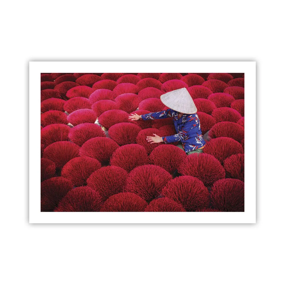 Plakát - Na rýžovém poli - 70x50 cm