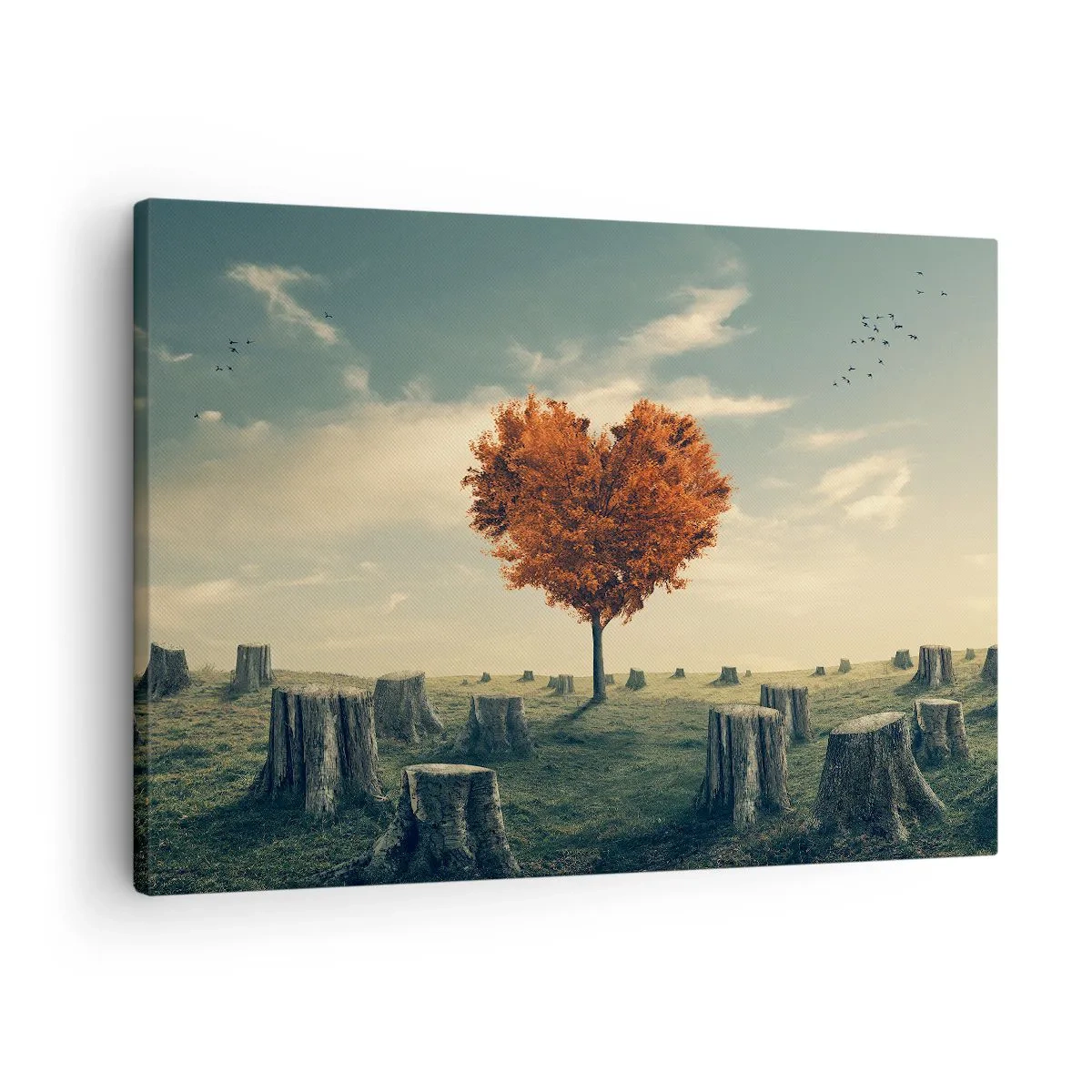 Obraz na plátně - Strom ve tvaru srdce v poli pařezů, symbol naděje - 70x50cm - Pořád je ještě naděje - Moderní nástěnná dekorace do obývacího pokoje a ložnice ARTTOR