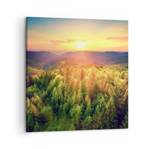 Obraz na plátně - Vrcholky a vrcholy - 50x50 cm