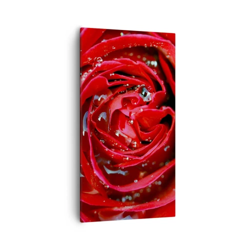 Obraz na plátně - V kapkách rosy - 55x100 cm