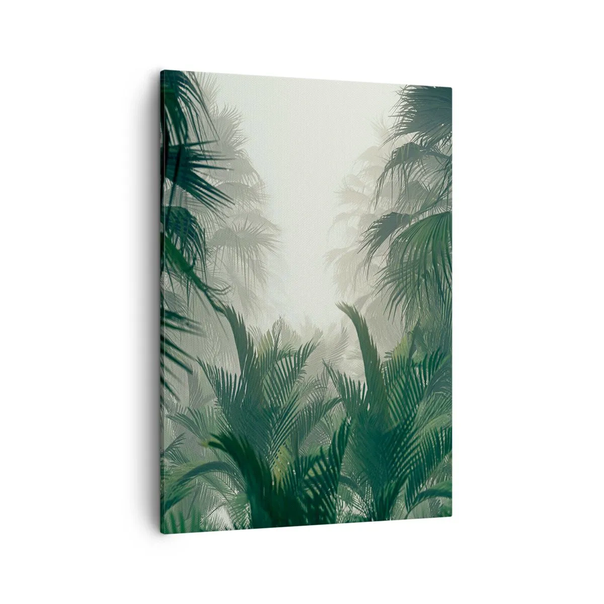 Obraz na plátně - Tropická záhada - 50x70 cm