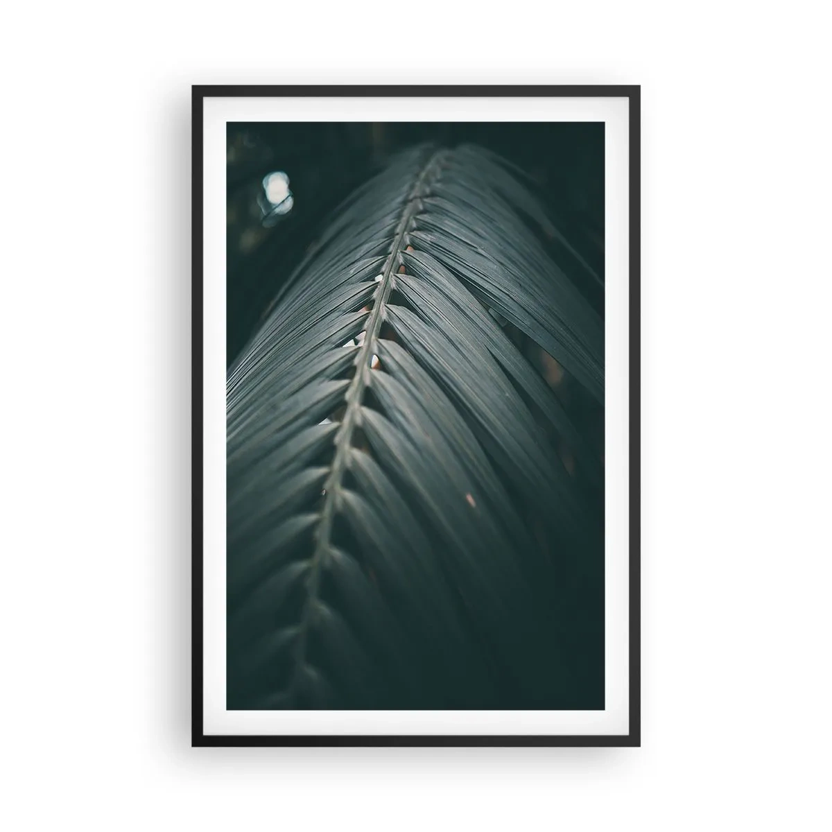 Plakát v černém rámu - Přesnost přírody - 61x91 cm