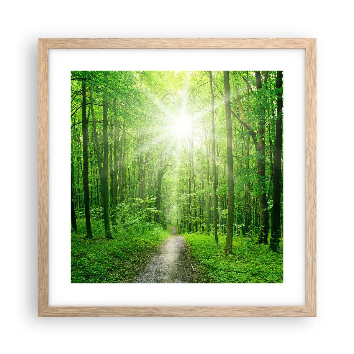 Plakát v rámu světlý dub - Zelená katedrála - 40x40 cm