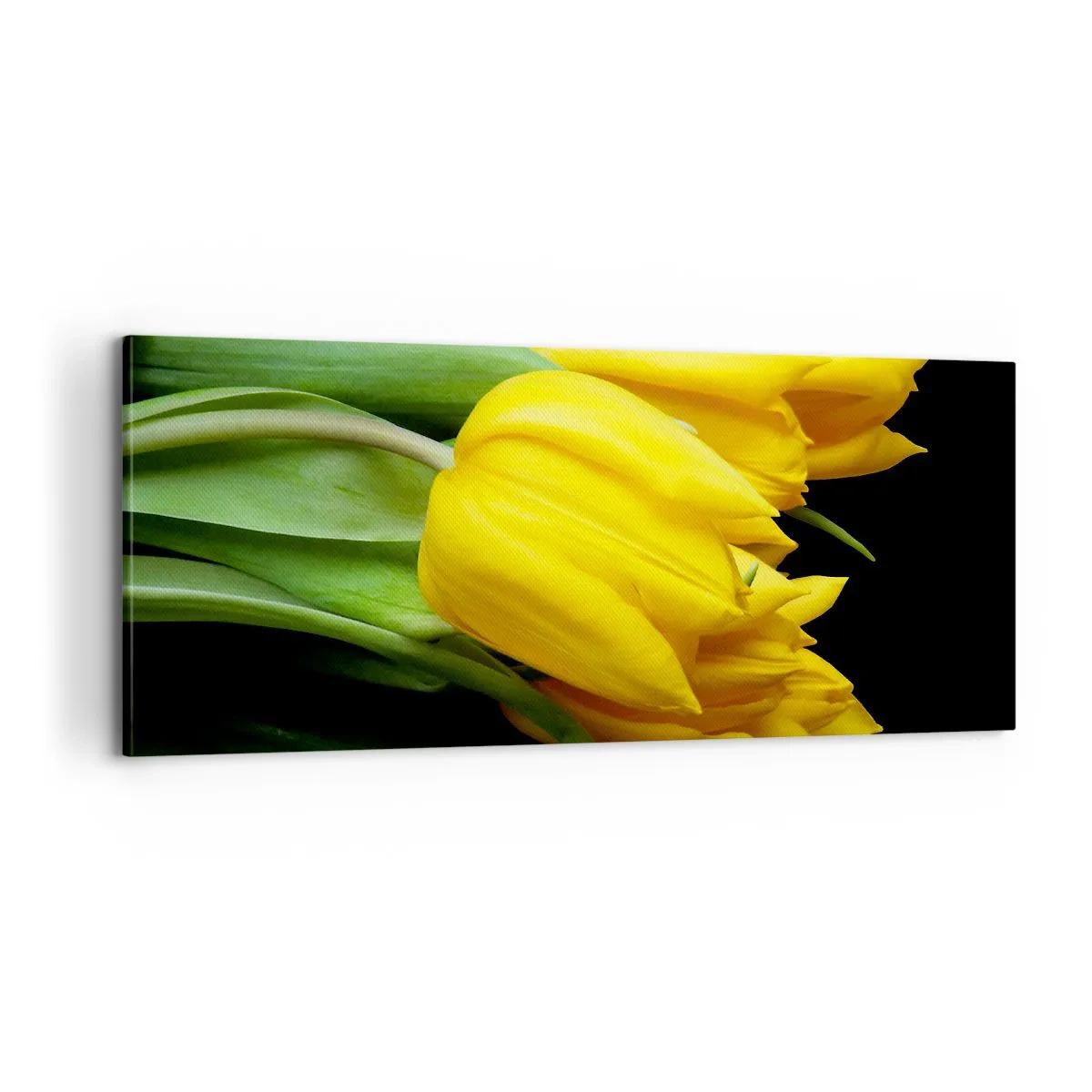 Obraz na plátně - Vznikly z čistého slunce - 100x40 cm