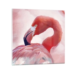 Obraz na skle - Ptačí krása - 40x40 cm