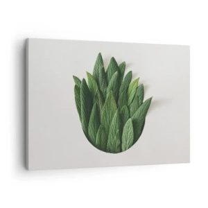 Obraz na plátně - Složení zelených listů na světlém pozadí - 70x50cm - Neukojitelná zvědavost - Moderní nástěnná dekorace do obývacího pokoje a ložnice ARTTOR