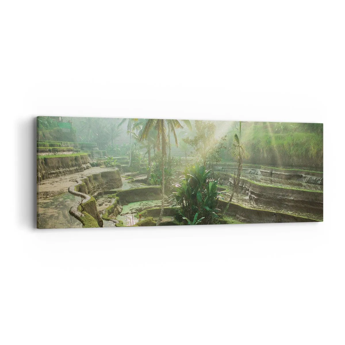 Obraz na plátně - Vyrůstát na slunci - 90x30 cm