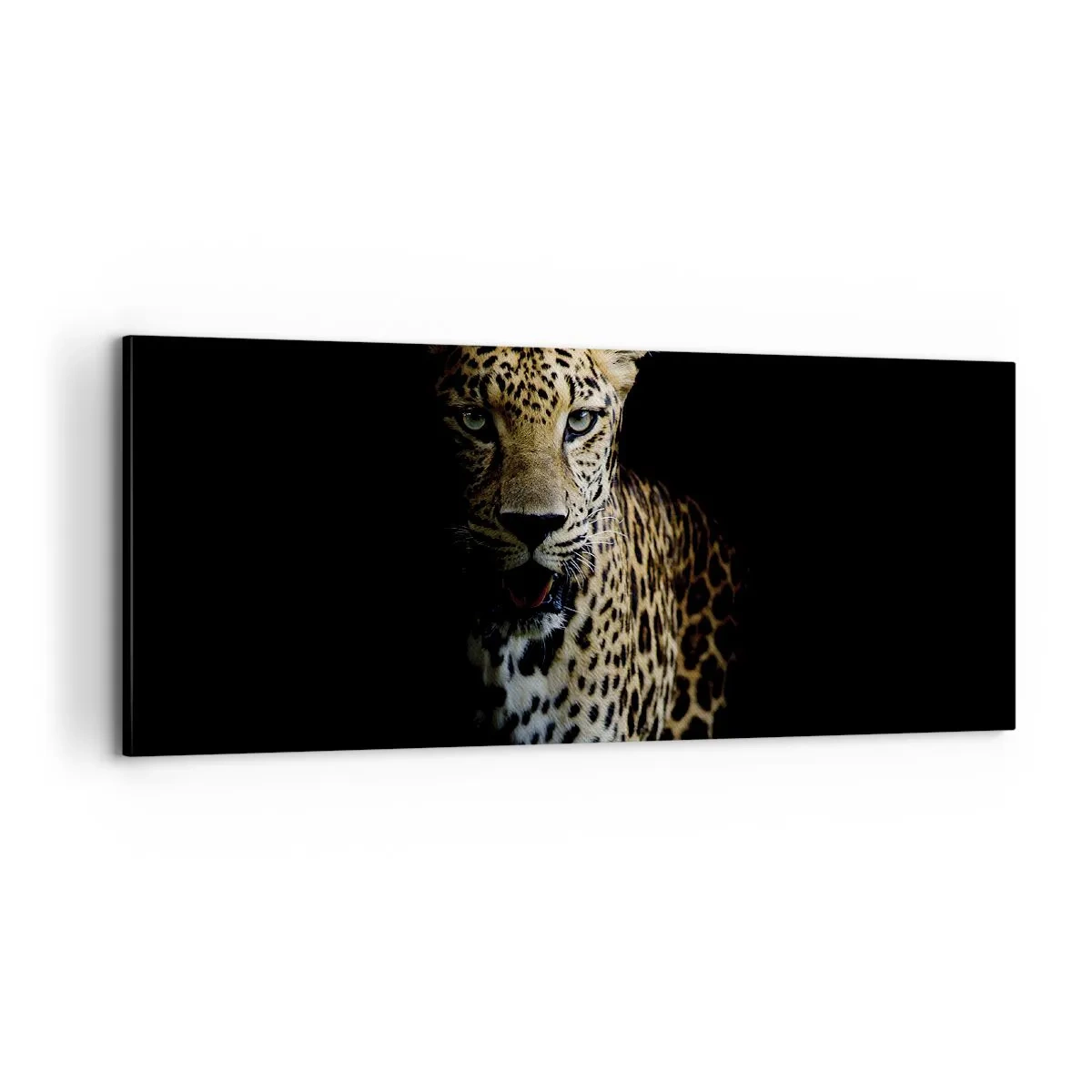 Obraz na plátně - Temná krása - 100x40 cm