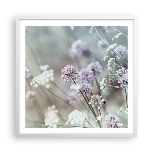 Plakát v bílém rámu - Sladké filigrány bylinek - 60x60 cm