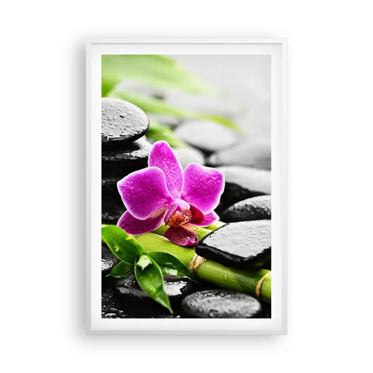 Plakát v bílém rámu - V klidné rovnováze - 61x91 cm