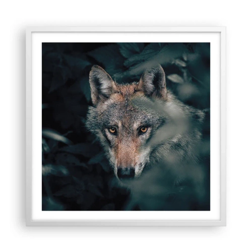 Plakát v bílém rámu - Predátor - 60x60 cm